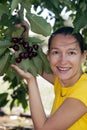 Picking cherries