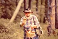 Picking mushrooms. Happy Grandfather with mushrooms in busket hunting mushroom. Mushrooming in nature. Royalty Free Stock Photo