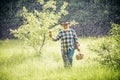 Picking mushrooms. Happy Grandfather with mushrooms in busket hunting mushroom. The search for mushrooms in the woods Royalty Free Stock Photo