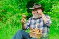 Picking mushrooms. Happy Grandfather with mushrooms in busket hunting mushroom. Grandfather with basket of mushrooms and Royalty Free Stock Photo