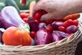 Fresh vegetables Royalty Free Stock Photo