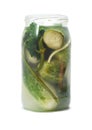 Pickle jar Royalty Free Stock Photo