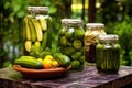 pickle jars with garden-fresh vegetables beside them Royalty Free Stock Photo