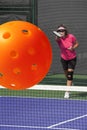 Pickleball Action -Big Serve