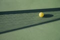 Pickleball on Court in Net Shadow