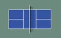 Pickleball field. Top view vector illustration with grid and shadow