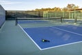 Pickleball paddle and ball on court