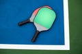 Pickleball paddle and ball Royalty Free Stock Photo