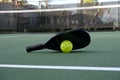 Pickleball Paddle and Ball on Court