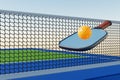 Pickleball racket and ball against the background of the court Royalty Free Stock Photo