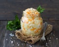 Pickled cabbage with carrots Royalty Free Stock Photo