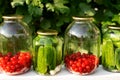 Pickled canned cucumbers and compote of fresh cherries in jars