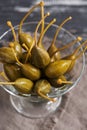 Pickled capers in a glass bowl . Capers on textured background. Royalty Free Stock Photo