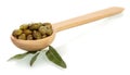 Pickled capers in a wooden spoon Royalty Free Stock Photo