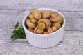 Pickled champignon heap in the bowl Royalty Free Stock Photo