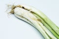 Pickled chopped spring onion for cooking image