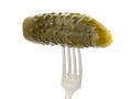 Pickled cucumber with a fork on a white background, isolated with shadow Royalty Free Stock Photo