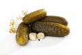 Pickled cucumber on isolated background