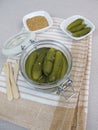 Pickled cucumber in jar Royalty Free Stock Photo