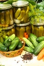 Pickled cucumbers Royalty Free Stock Photo