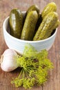 Pickled cucumbers Royalty Free Stock Photo