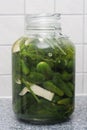 Pickled cucumbers