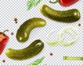 Pickled cucumbers. Gherkin, dill, pepper, onion, coriander seeds. 3d vector vegetables