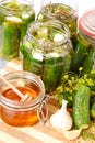 Pickled cucumbers with honey Royalty Free Stock Photo