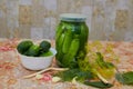 pickled cucumbers in a jar,canned home-made cucumbers, pickled cucumbers with dill Royalty Free Stock Photo