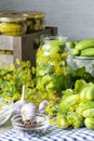 Pickled cucumbers and marinade ingredients Royalty Free Stock Photo