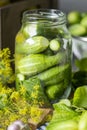Pickled cucumbers and marinade ingredients Royalty Free Stock Photo