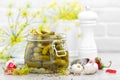 Pickled cucumbers, small marinated pickles Royalty Free Stock Photo