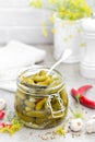 Pickled cucumbers, small marinated pickles Royalty Free Stock Photo