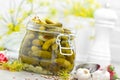 Pickled cucumbers, small marinated pickles Royalty Free Stock Photo