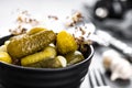 Pickled cucumbers, small marinated pickles Royalty Free Stock Photo