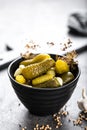 Pickled cucumbers, small marinated pickles Royalty Free Stock Photo