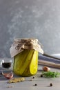 Pickled fermented cucumbers in a glass jar. Pickles with garlic, pepper and dill on a gray wooden background Royalty Free Stock Photo