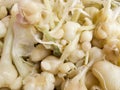 Pickled Garlic