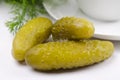 Pickled gherkin