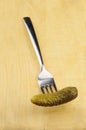 Pickled gherkin on a fork