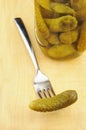 Pickled gherkin on a fork