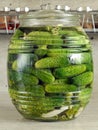 Pickled green cucumbers Royalty Free Stock Photo