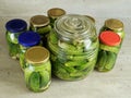 Pickled green cucumbers Royalty Free Stock Photo