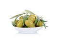 Pickled green olives in a bowl and olive tree branch Royalty Free Stock Photo