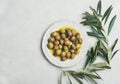 Pickled green olives in virgin oil and olive-tree branch Royalty Free Stock Photo