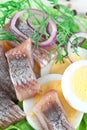 Pickled Herring With Egg Royalty Free Stock Photo