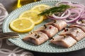 Pickled herring with red onion and lemon slices. Royalty Free Stock Photo