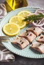 Pickled herring with red onion and lemon slices. Royalty Free Stock Photo