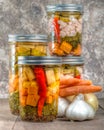 Pickled mixed vegetables home canning Royalty Free Stock Photo