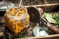 Pickled mushrooms with seamer on an old tray. Royalty Free Stock Photo